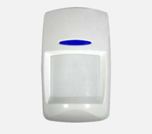 I(bo) ҕt̽yDS-PD1-P10p